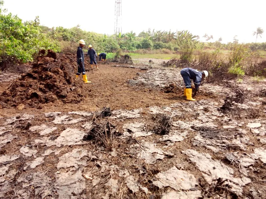 Contaminated Site Assessment — Jacio Environmental Limited